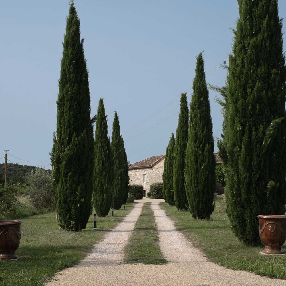 Location d'un mas provençal pour fêtes de famille