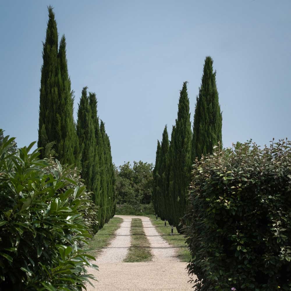 Location d'un grand mas dans le sud de la France