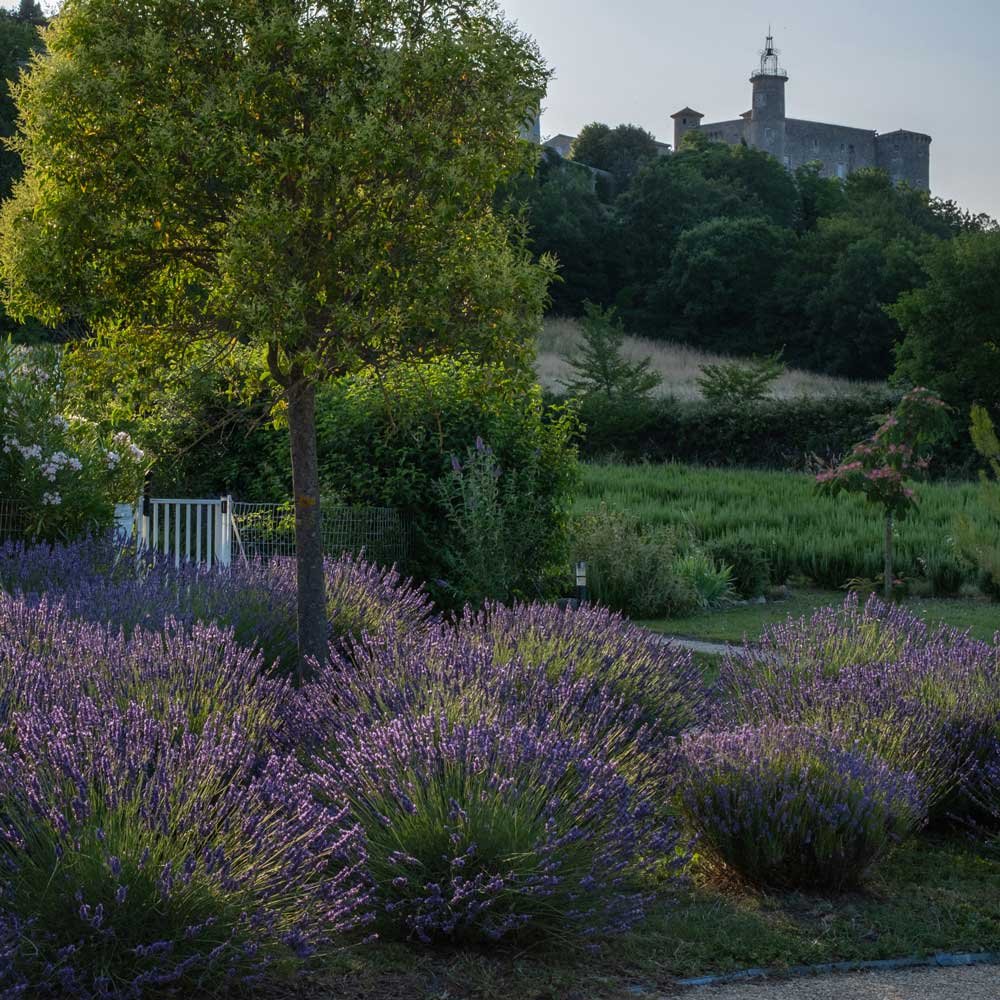 Grand gîte de famille avec vue sur Lussan, près d'Uzes et Avignon 