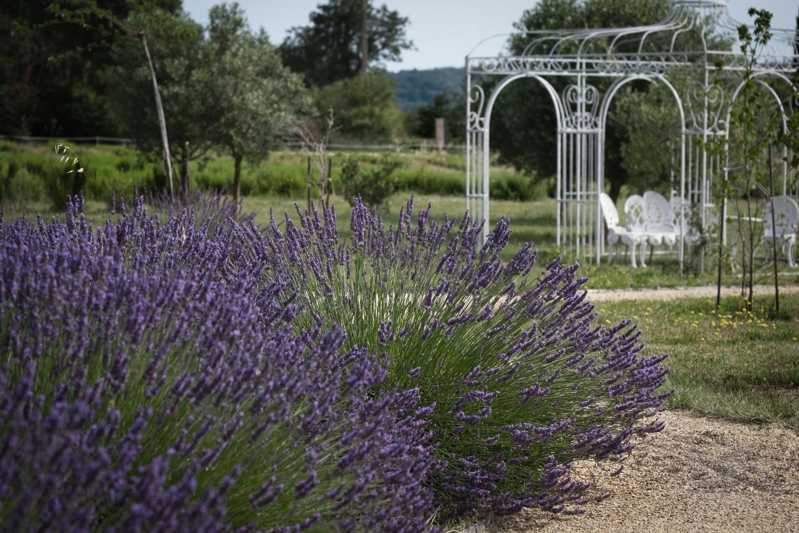 Location d'un domaine privé pour les groupes et les familles